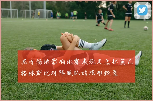 泥泞场地影响比赛表现足总杯英乙格林斯比对阵狼队的艰难较量